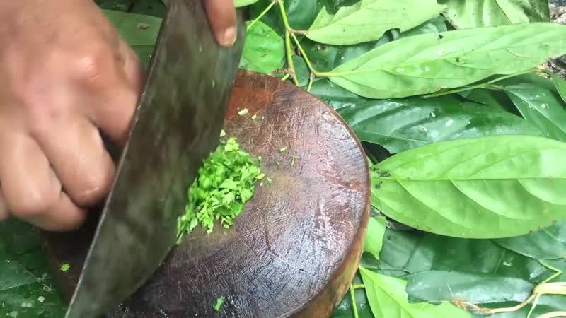 Find and cook snail in forest collect snail cooking for food eating delicious mp4