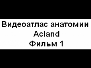 Видеоатлас анатомии acland фильм 1 целиком