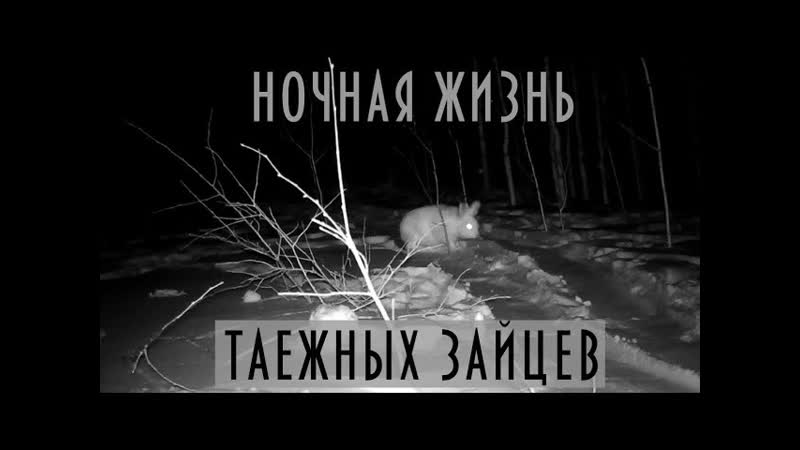 Голая из зайцев 1 порно видео на бюджетыч.рф