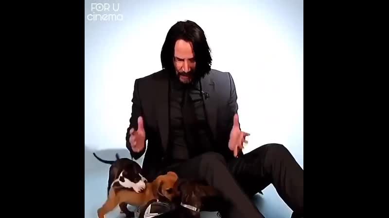 Киану ривз и щеночки