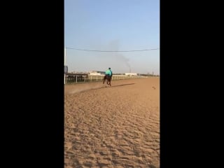 💣умар янковский ✊👊