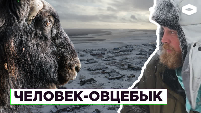 Вертолет дважды в неделю как живут люди на таймыре | человек овцебык | romb