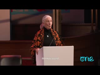 Meeting jane goodall at one young world talking about how she stays hopeful • doutzen diaries ( 720 x 1280 ) mp4