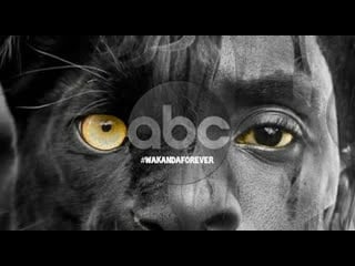 Tribute ¦ chadwick boseman ¦ legacy for abc ¦ black panther actor ¦ wacanda forever