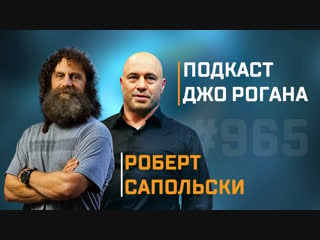 Подкаст джо роган experience #965 роберт сапольски