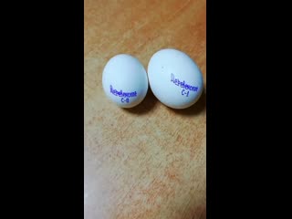 Яйца 20201105 mp4