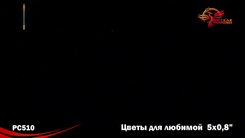 Римская porn video – Римская свеча рс510 цветы для любимой