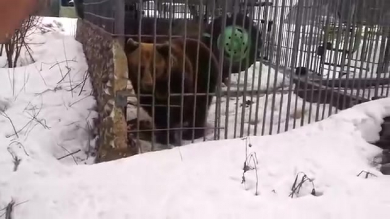 Не лезь, блять, дебил, сука, ебаный