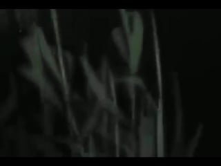 ¿quién quiere dar una caminata en la noche?