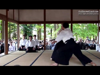 Ueshiba mitsuteru demonstration at the aikijinja taisai 2013