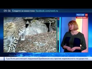 Директор "земли леопарда" как сохранить редкого хищника