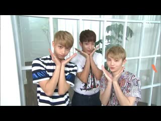 Carats, have you seen this one