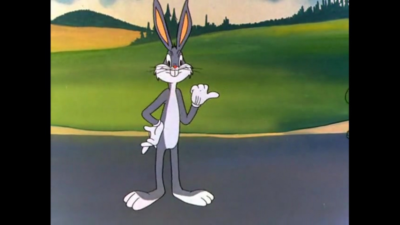 Кролик бакс бани