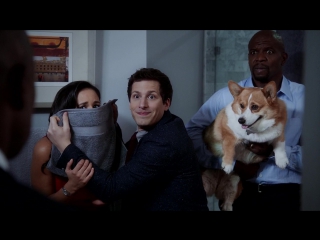 Brooklyn nine nine |1x16| нелоая сцена в квартире капитана холт