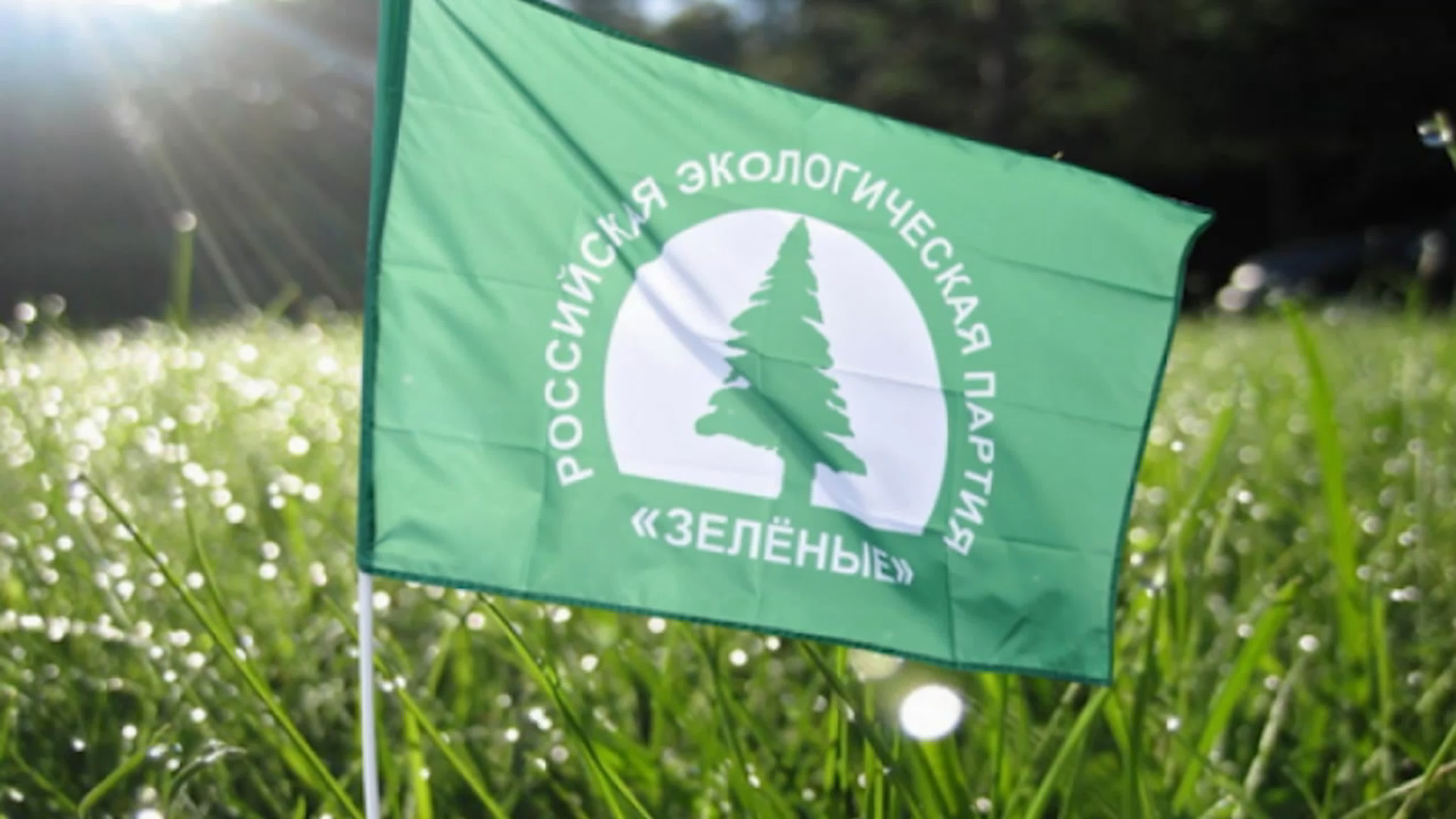 Сообщество зеленых. Российская экологическая партия зелёные логотип. Сообщество зеленых. Экологическое движение. Политическая партия экологическая партия зеленые.