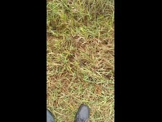 Vid 20191008 102749 mp4