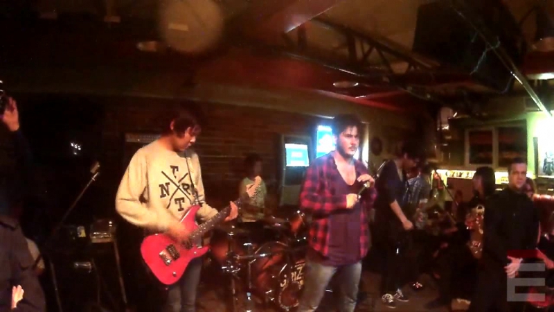 Dream tv live at реальные кабаны