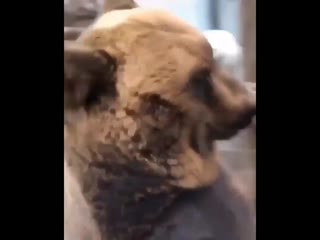 Брутальный миха