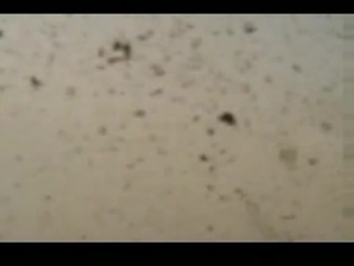 Ied almost takes out a us bradley