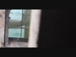 Neighbor college going girl bathing hidden video