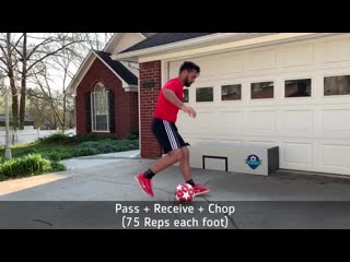 Stay at home passing session a ball and a wall