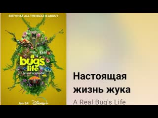 🪲 настоящая жизнь жука (1 серия, 2024)