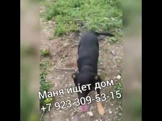 Vid 137361227 102049 170 mp4