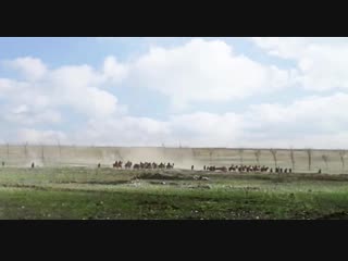 Первая мировая конница попала под удар немецкой артиллерии