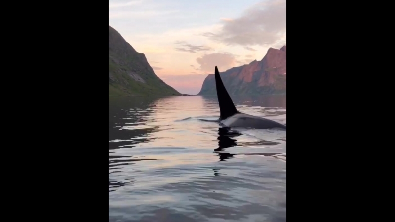 Islands porn video – Lofoten islands, norway