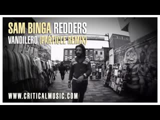 Sam binga x redders vandilero (particle rmx)