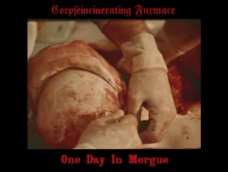 Corpseincinerating furmace one day in morgue (2017)