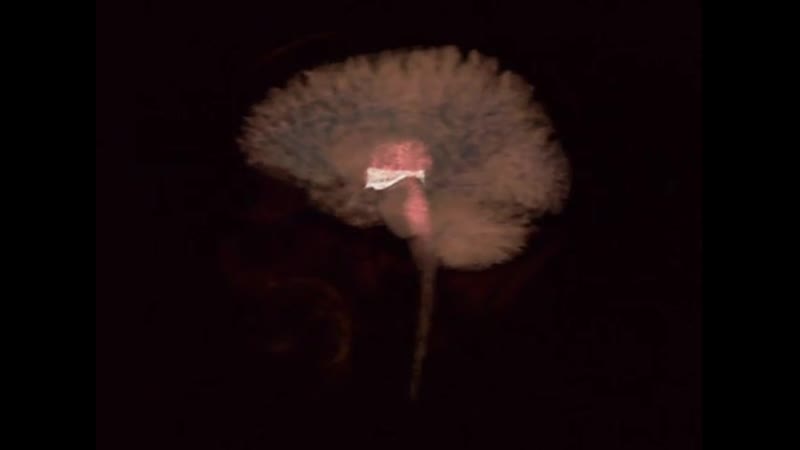 Bbc тело человека (4) период полового созревания the human body