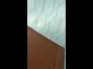 Мистер пропер