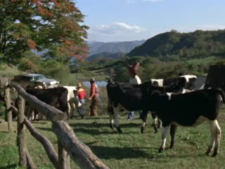 [kaijukeizer & frt sora] ultraseven 11 [1080p]