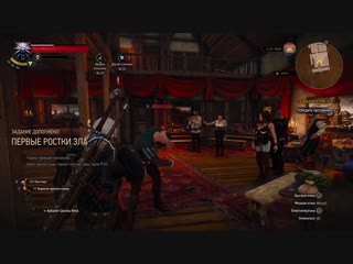 The witcher 3 / ведьмак 3 никак вы, блядь, не научитесь