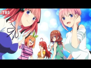 The quintessential quintuplets (new anime) official announcement teaser