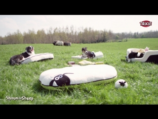 Shaun the sheep cushions short clip