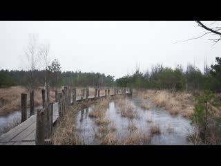 Wooden bridge over a small frozen river
