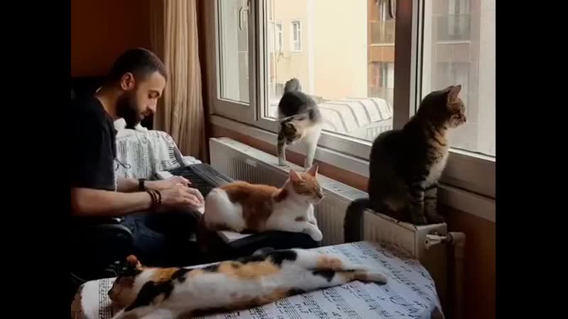 Идеальная аудитория