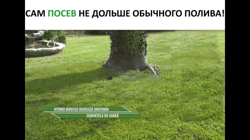 Жидкий газон красивая лужайка