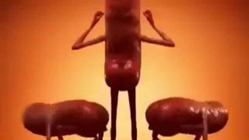 Гусей гасанов развел на кухне срач и ебанутые сосисоны начали диро разъёбывать пол пятками