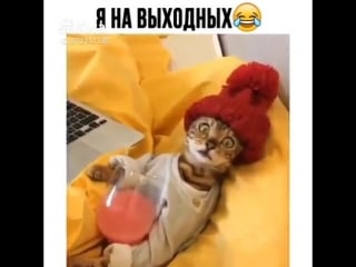 Субботнего утречка