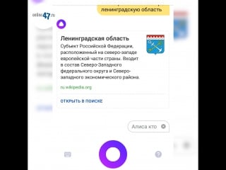 "божественно" что голосовой помощник "яндекса" алиса знает о ленобласти