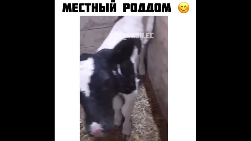 Роддом 😁