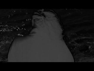 Scott barley nightwalk, 2013