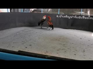 Vid 20201102 102033 mp4