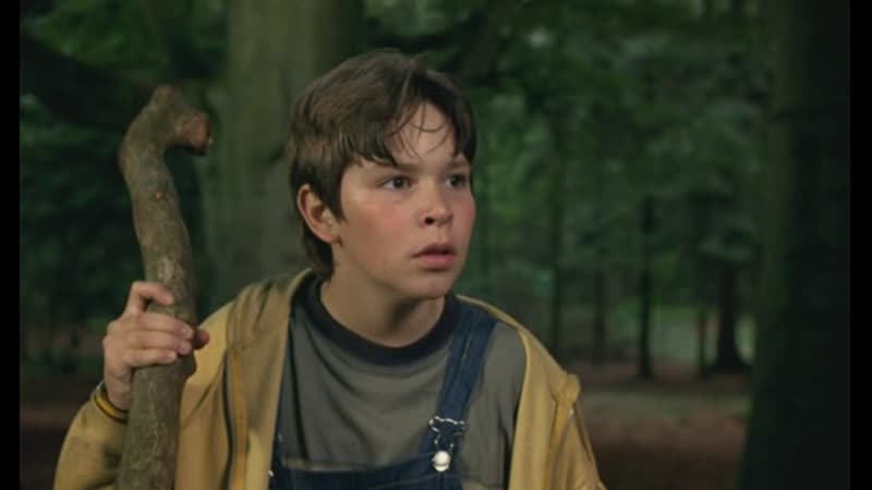 Красный лебедь / de rode zwaan (1999 нидерланды ) приключения молодые в кино класс 10 режиссёр мартин ладжести / martin lagestee