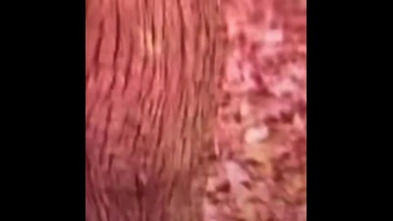 Baller shymside b6xnboebnnj mp4