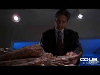 Fox a little clumsy mulder/фокс немного неуклюжий малдер