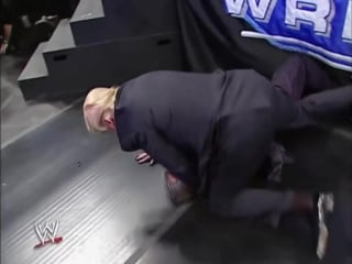 Donald trump fights at the wwe